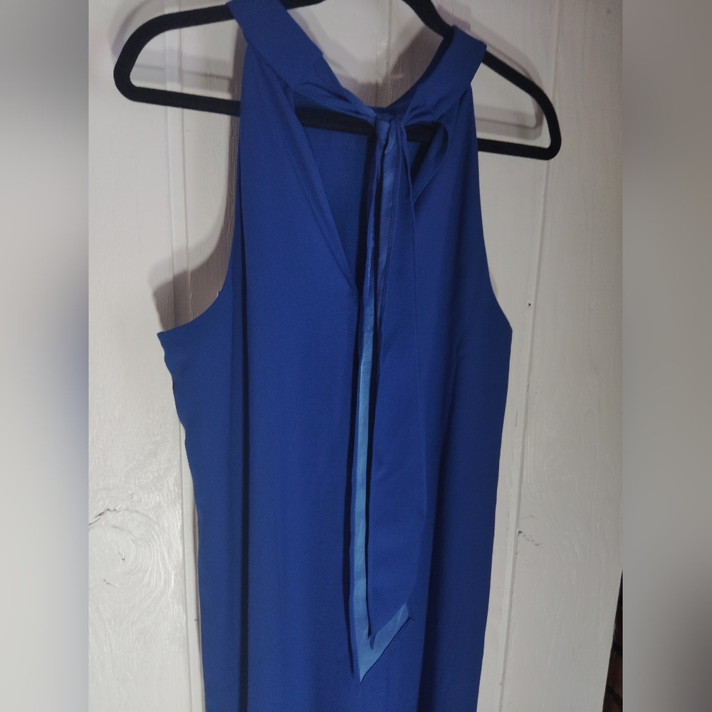 Lilly Pulitzer Cobalt Blue Sleeveless Maxi Dress - Picture 9 of 10